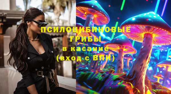 стафф Баксан