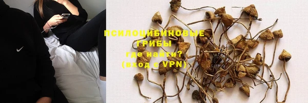 гидропоника Балабаново