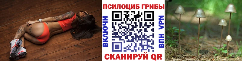ссылка на мегу сайт  Олонец  Галлюциногенные грибы прущие грибы 